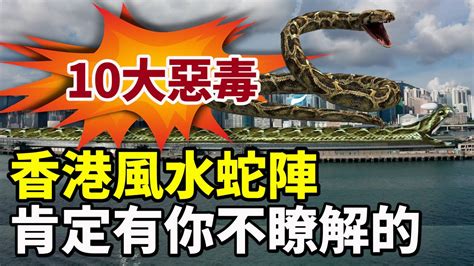 香港蛇風水|【蛇風水】蛇風水！注意這11個預兆，化解家中蛇禍 – 香港新聞提要